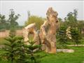 重庆南枫园林景观艺术有限公司 